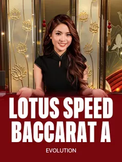 Lotus Speed Baccarat A live table at Bison Casino